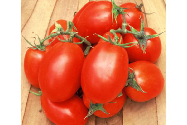 E4.75T/10TOMATO ROMA