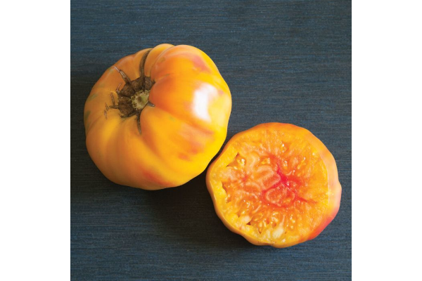 E4.75T/10TOMATO H STRIPEDGERMAN