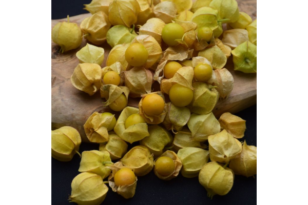 E4.75T/10GROUND CHERRY