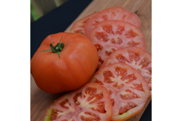 E6.5T/3TOMATO SUPERSTEAK