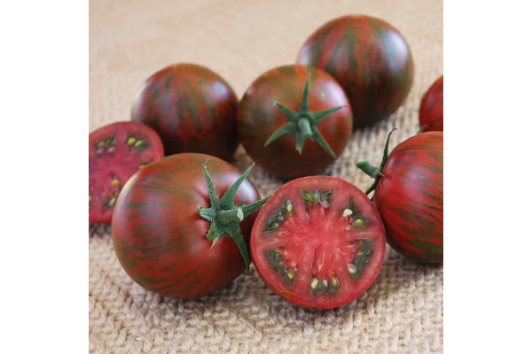 E4.75T/10TOMATO PURPLE ZEBRA