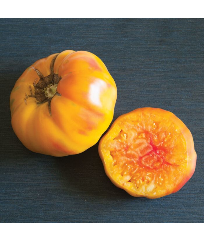 E4.75T/10TOMATO H STRIPEDGERMAN