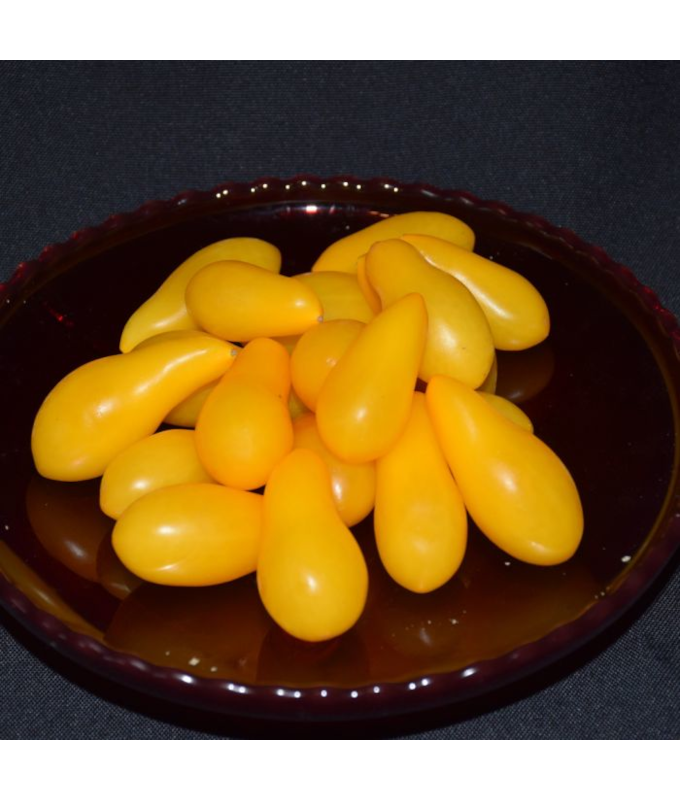 E4.75T/10TOMATO H YELLOWPEAR