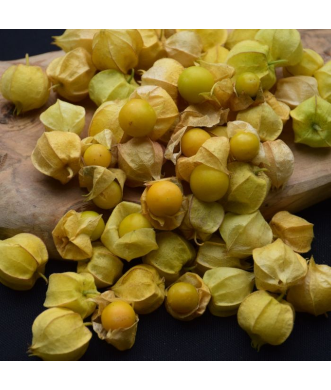 E4.75T/10GROUND CHERRY