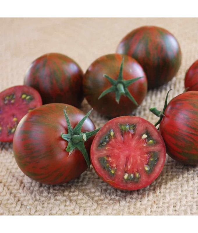 E4.75T/10TOMATO PURPLE ZEBRA