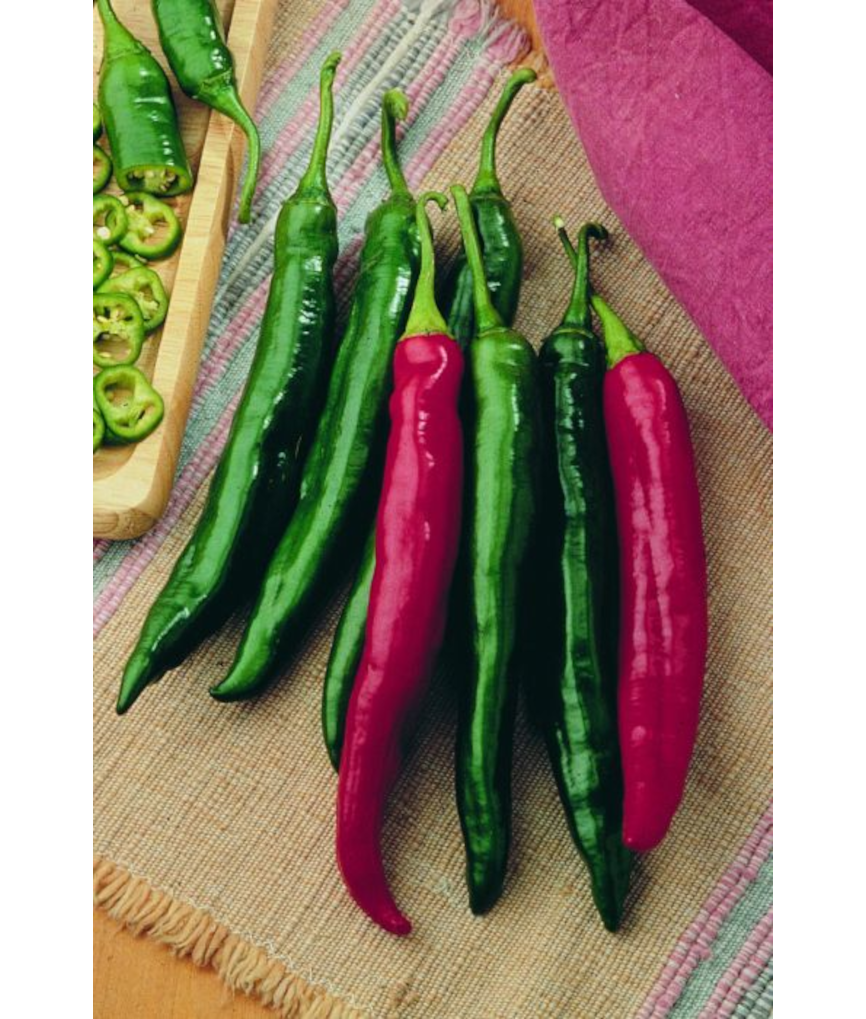 E4.75T/10PEPPER ITALIANROASTER