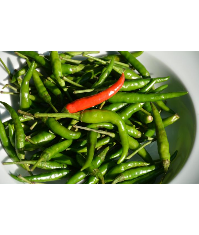E4.75T/10PEPPER THAI