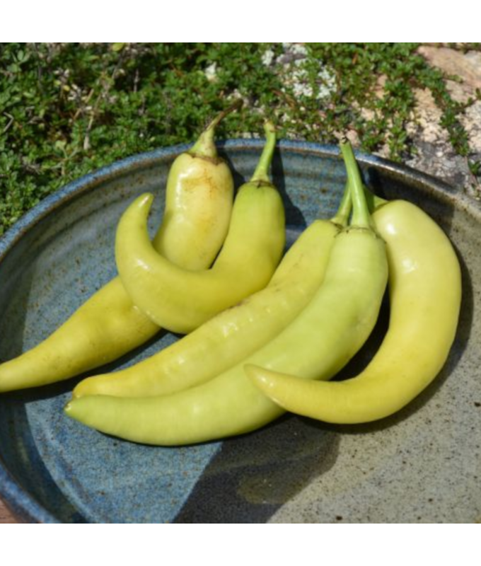 E306T/18PEPPER SWEET BANANA