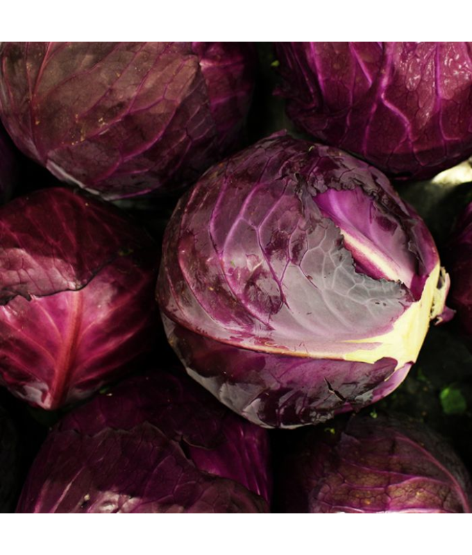 E606T/36CABBAGE RED ACRE