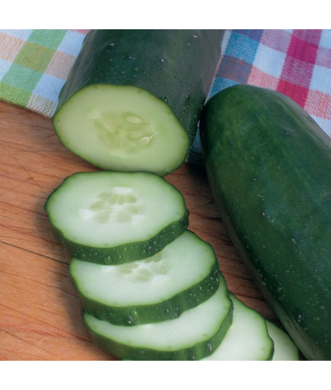 E4.75T/10CUCUMBER BURPLESS