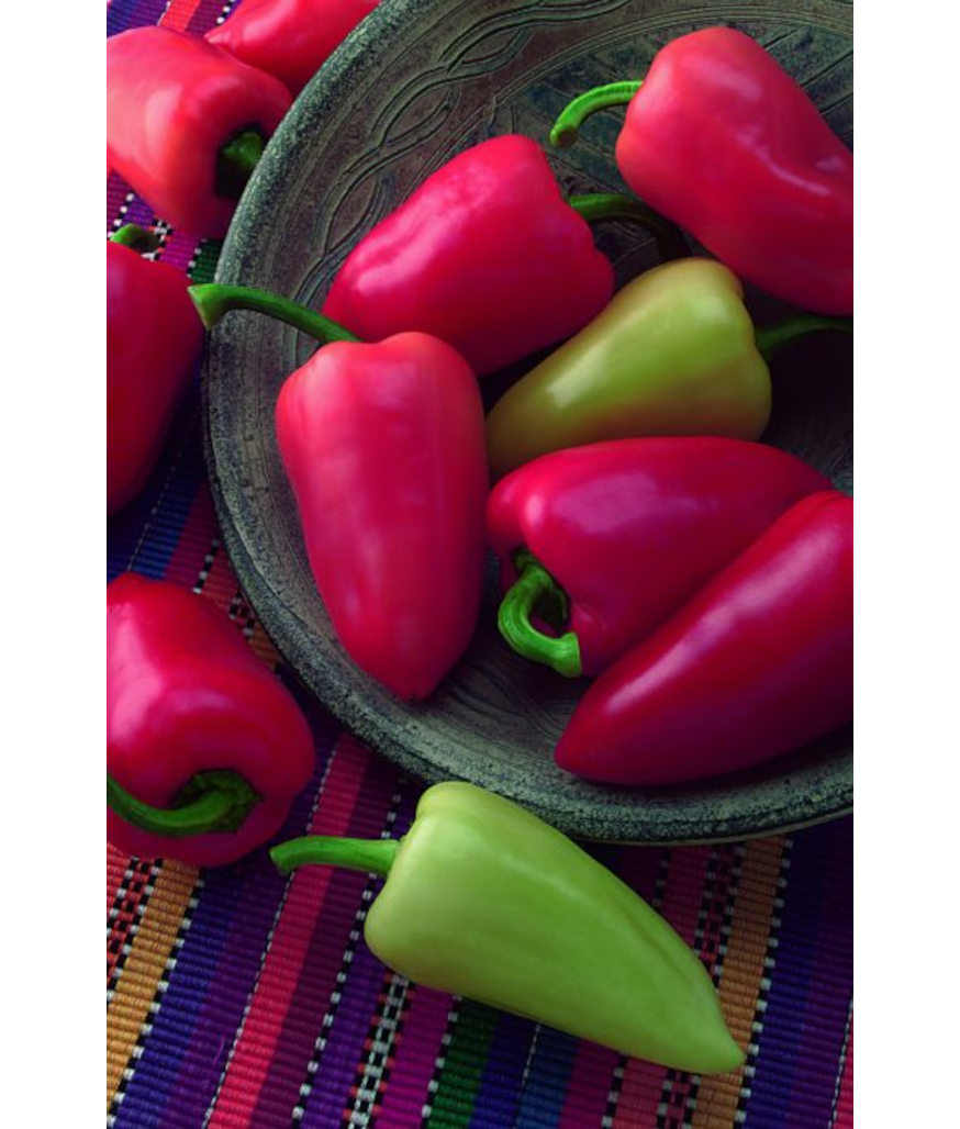 E4.75T/10PEPPER MARIACHI