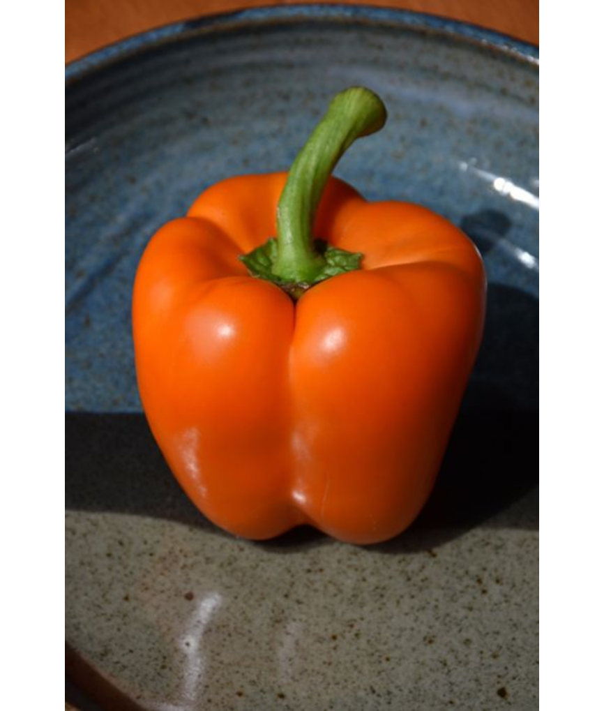 E4.75T/10PEPPER ORANGEBELL