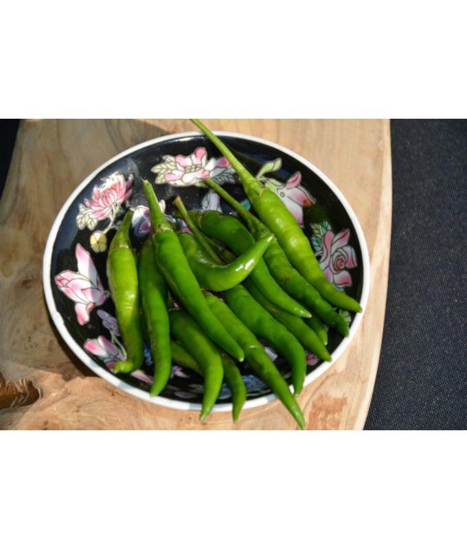 E4.75T/10PEPPER SERRANO