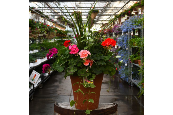 TUB13"GERAN SPIKE MIX