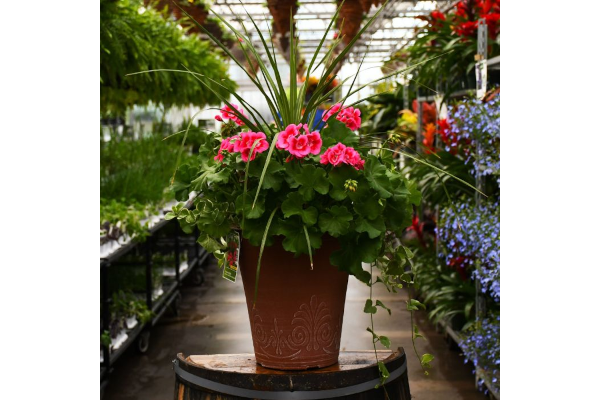 TUB13"GERAN SPIKE ROSE MEGA SPL