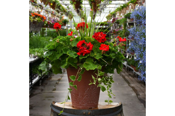 TUB13"GERAN SPIKE RED