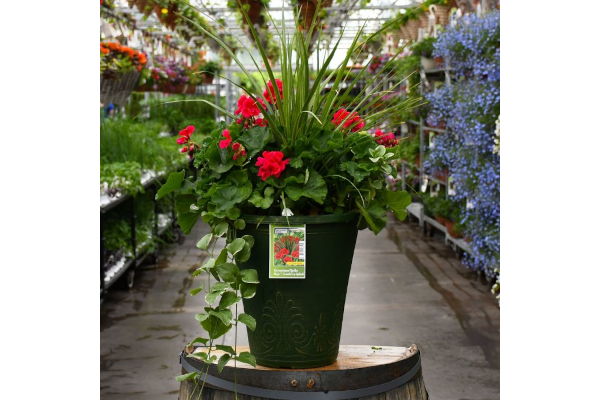 TUB13"GERAN SPIKE MOJO CRAN SPL