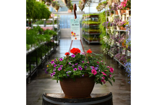 HB13"MINI AWESOME COMBO