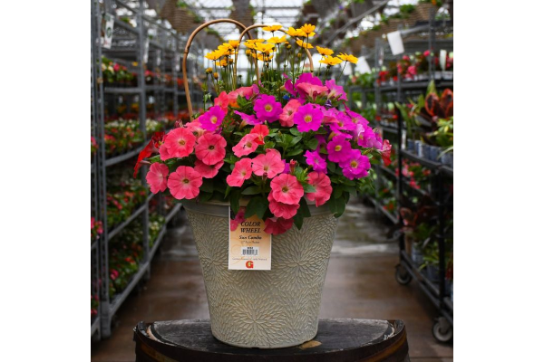 TUB12"HELIX COMBO-COLOR WHEEL