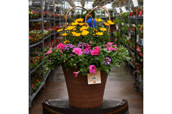 TUB12"HELIX COMBO-PINK LEMONADE