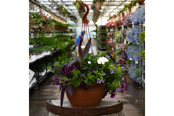 HB18"AWESOME BLIZZARD COMBO JUMB