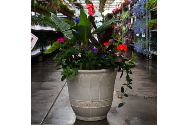 TUB17.8"AWESOME COMBO JUMBO