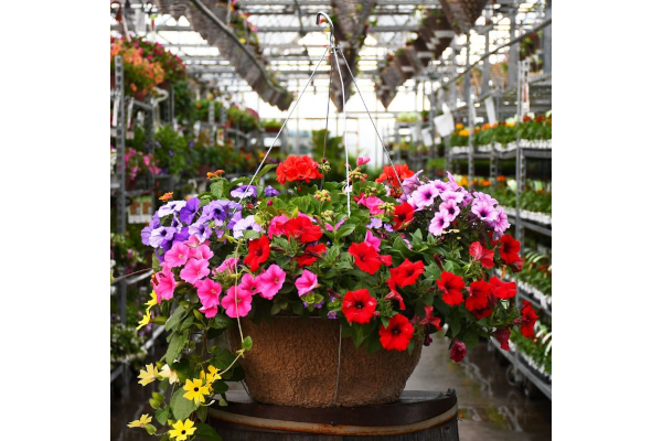 HB18"AWESOME COMBO JUMBO