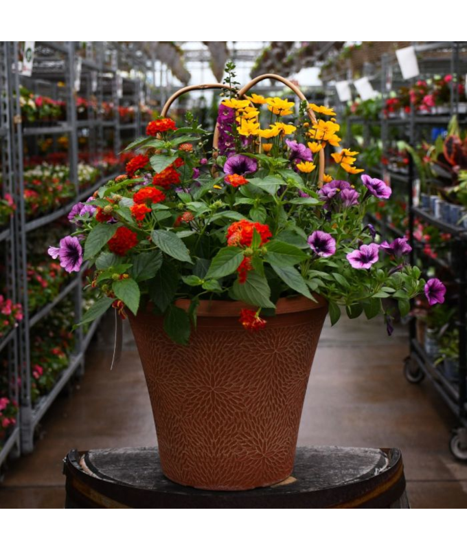 TUB12"HELIX COMBO-NIGHT ON TOWN