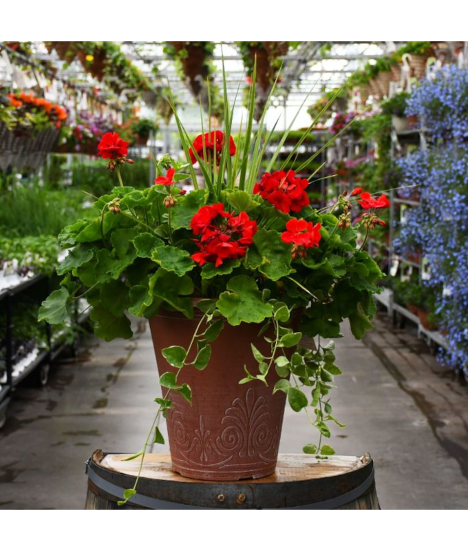 TUB13"GERAN SPIKE RED