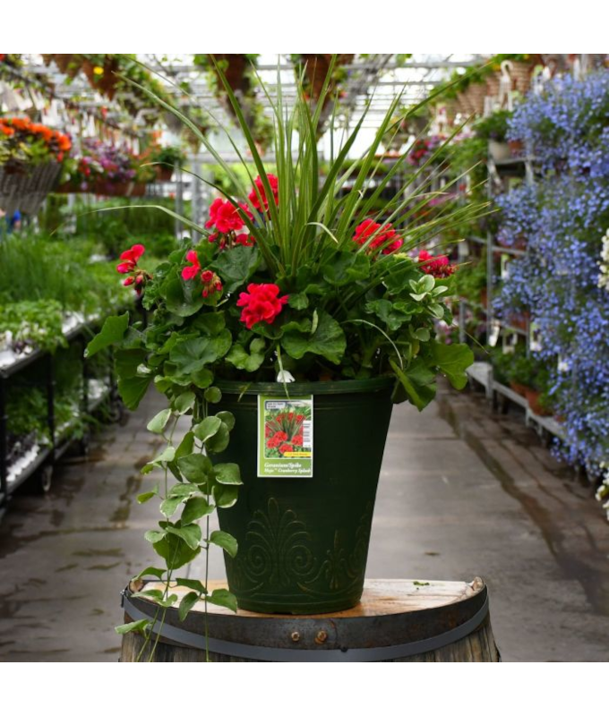 TUB13"GERAN SPIKE MOJO CRAN SPL