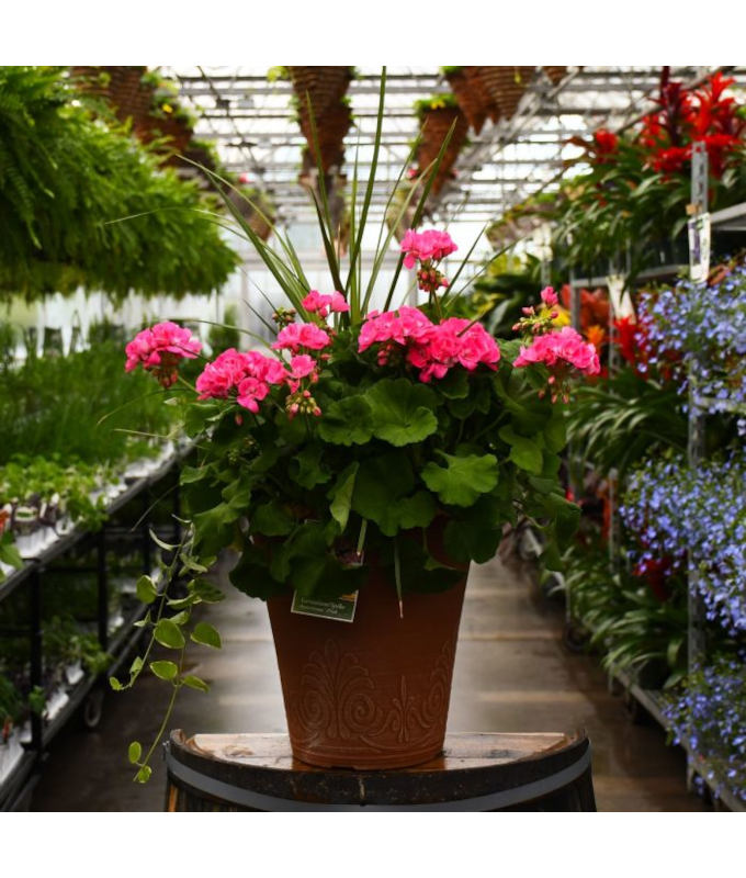 TUB13"GERAN SPIKE AMERICANA PINK