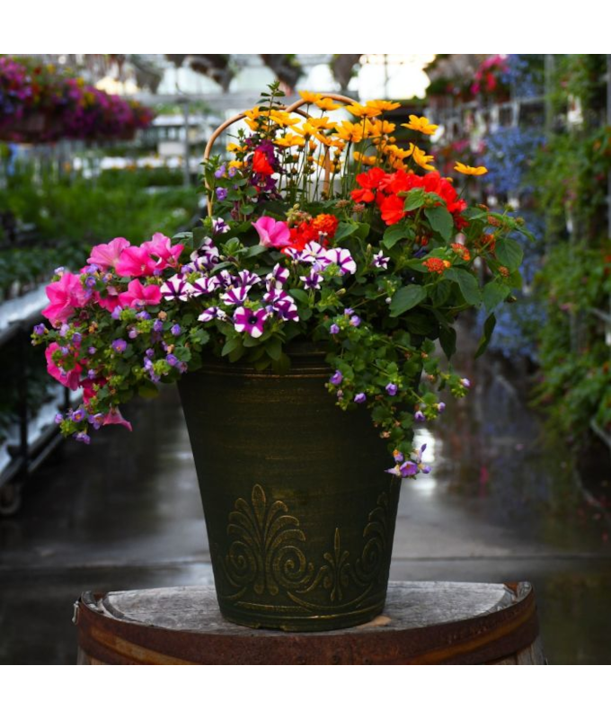 TUB13"MINI AWESOME COMBO