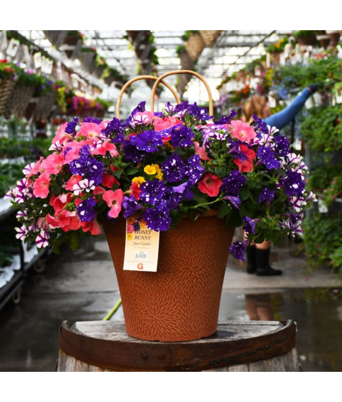 TUB12"HELIX COMBO-HONEY BUNNY