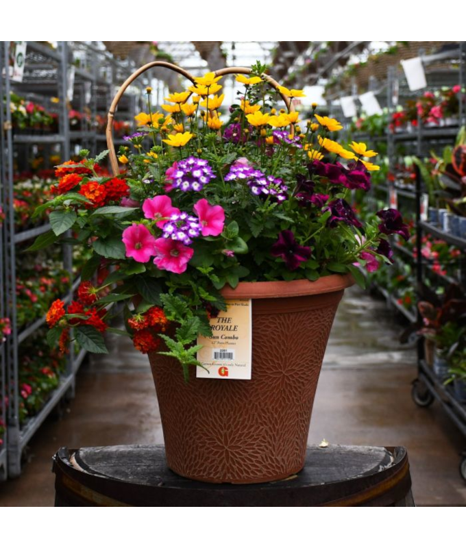 TUB12"HELIX COMBO-THE ROYALE