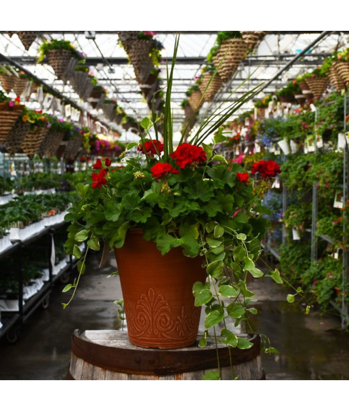 TUB13"GERAN SPIKE CAL DARK RD