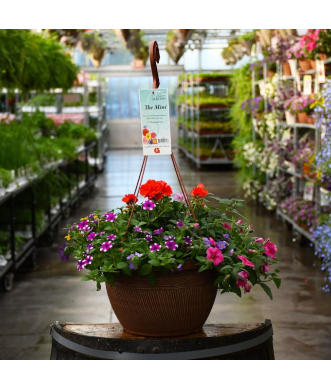 HB13"MINI AWESOME COMBO