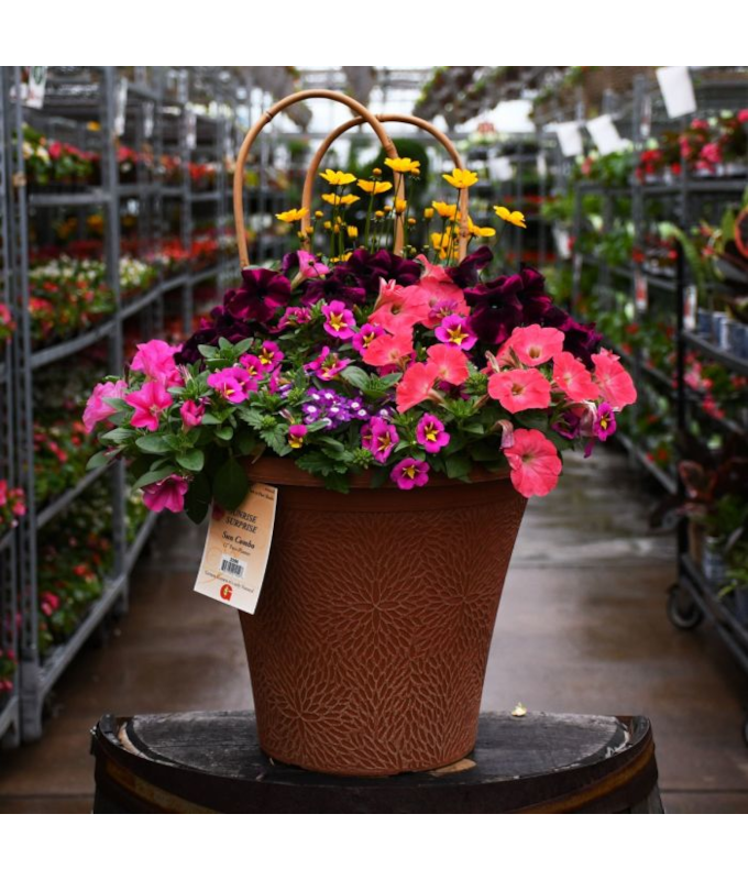 TUB12"HELIX COMBO-SUNRISE SUPRSE