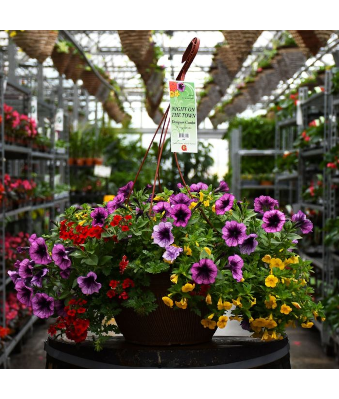 HB13"DESIGNER COMBO-NIGHT TOWN