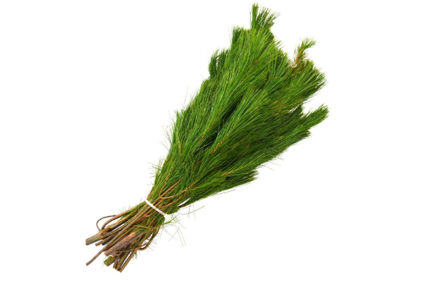 WHITE PINE 2LB BOUGH
