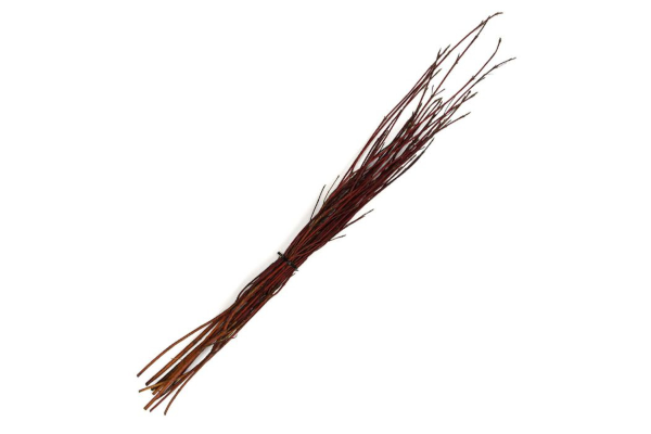 DOGWOOD 3-4� RED TWIG (25 COUNT)