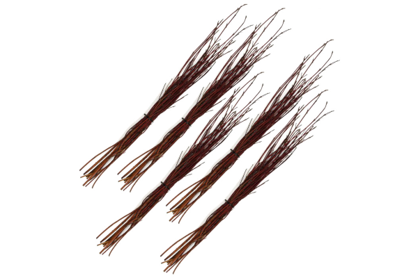 REDTWIG DOGWOOD BULK (100/BUNDLE)