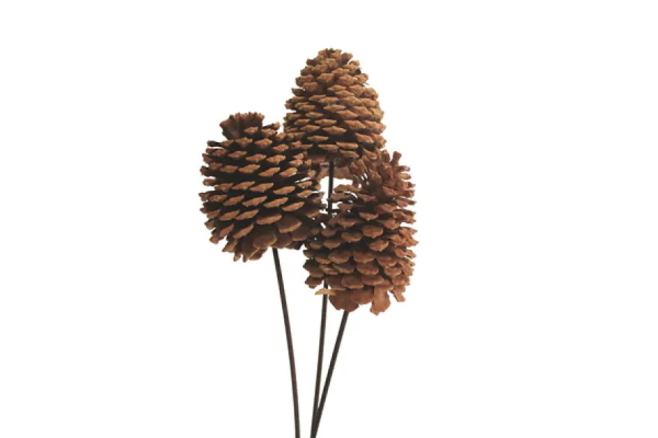JEFFREY CONE STAKE NATURAL