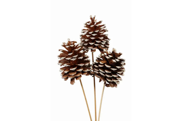 JEFFREY CONE STAKE WHITE TIPPED