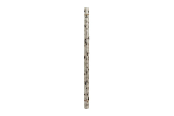 BIRCH BRANCH 36-48" PAINTED WHITE