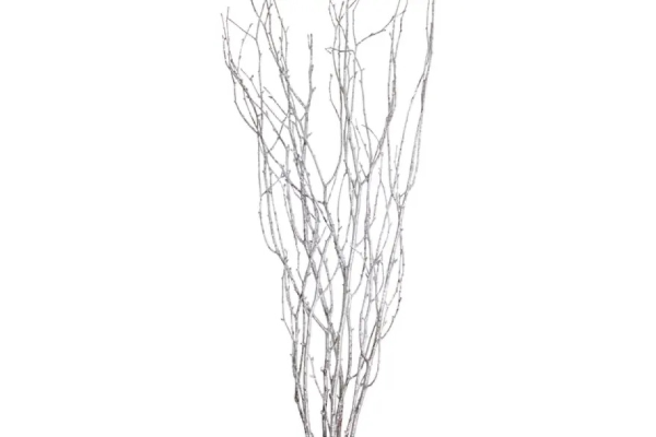 BIRCH BRANCH 36-48"/25 SILVER GLITTER