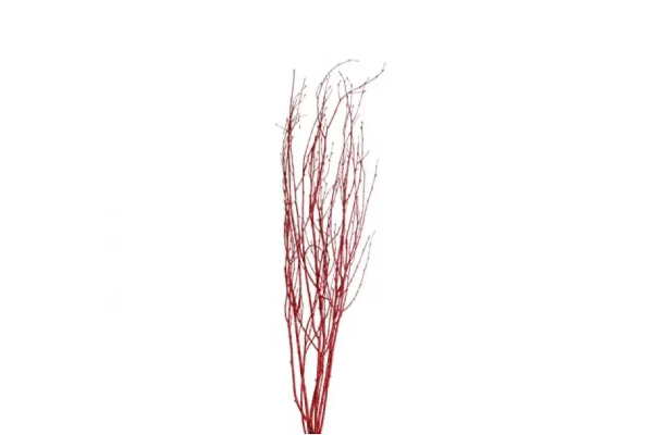 BIRCH BRANCH 36-48"/25 RED GLITTER