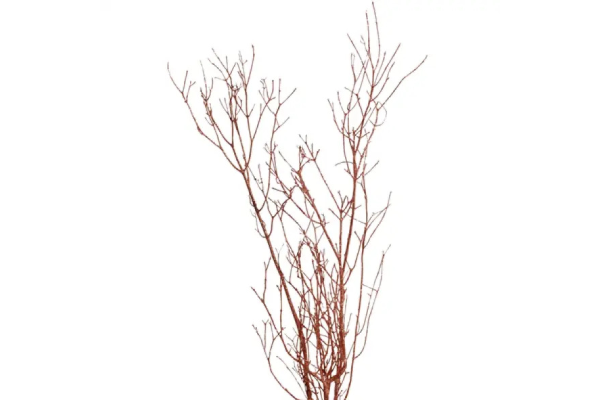 BIRCH BRANCH 36-48"/25 COPPER GLITTER