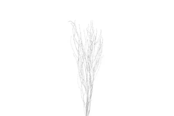 BIRCH BRANCH 36-48"/25 WHITE GLITTER