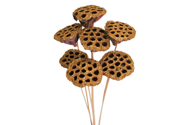LOTUS POD STAKE/7 COPPER GLITTER
