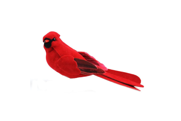 CARDINAL SMALL
